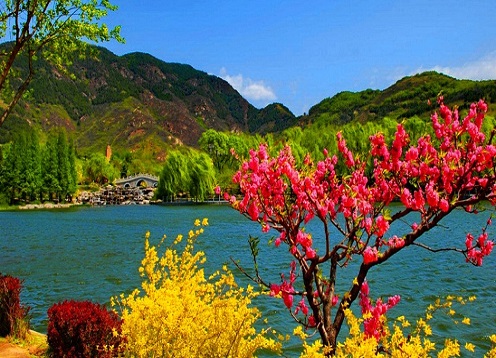 scenic-kashmir.jpg